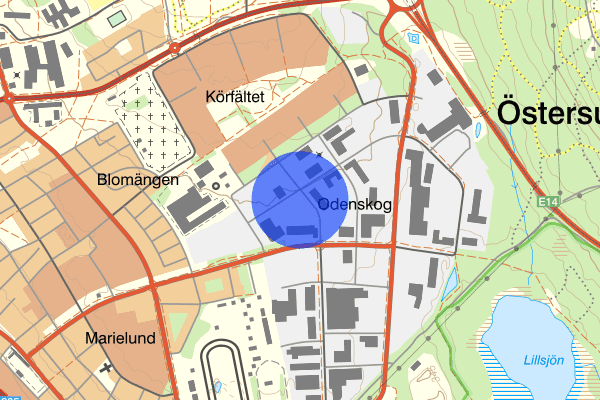 Odenskogsvägen 13 december 17.58, Stöld, Östersund