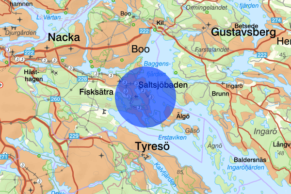 Saltsjöbaden 30 december 01.54, Motorfordon, stöld, Nacka
