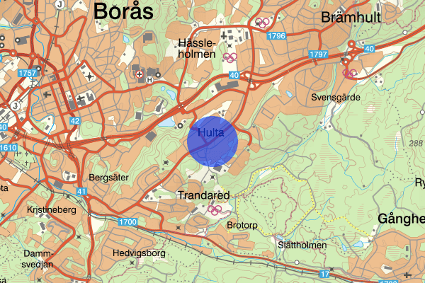 Mellomgårdsgatan 18 januari 19.52, Misshandel, grov, Borås