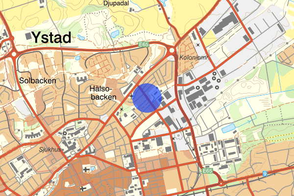Fridhemsgatan 19 januari 00.37, Misshandel, grov, Ystad