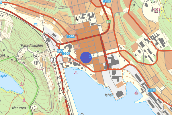 Torggatan 20 januari 10.00, Trafikkontroll, Örnsköldsvik