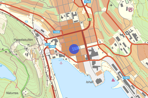 Stora Torget 22 januari 15.31, Stöld, Örnsköldsvik