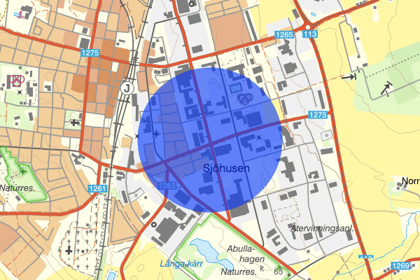 Bruksgatan 30 januari 19.46, Rattfylleri, Eslöv