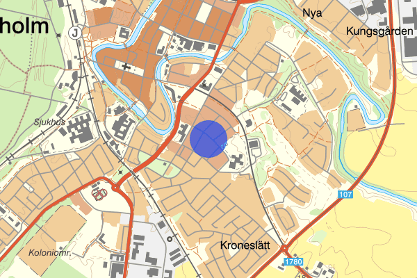 Stallgatan 01 februari 22.40, Narkotikabrott, Ängelholm