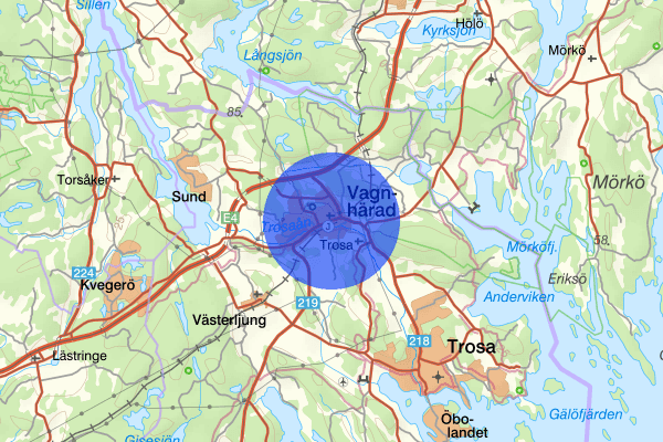 Vagnhärad 03 februari 19.46, Trafikolycka, vilt, Trosa