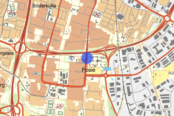 Fosie kyrka 16 februari 20.10, Misshandel, Malmö