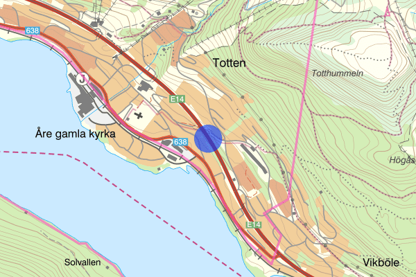 Kurortsvägen/E14 17 februari 18.42, Trafikolycka, vilt, Åre