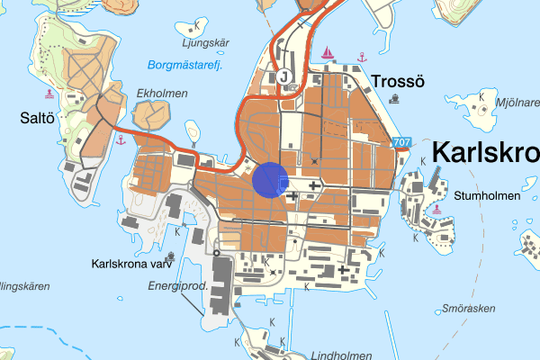 Borgmästaregatan 21 februari 03.25, Stöld/inbrott, Karlskrona