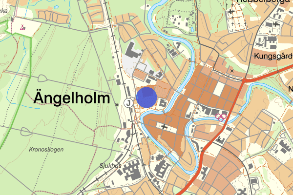Sockerbruksgatan 27 februari 21.37, Trafikolycka, Ängelholm