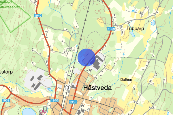 Spångatan 28 februari 16.16, Skadegörelse, Hässleholm