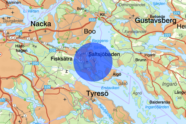 Saltsjöbaden 12 mars 19.10, Bedrägeri, Nacka