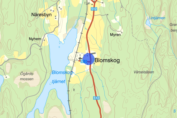Blomskog 14 mars 09.23, Arbetsplatsolycka, Årjäng