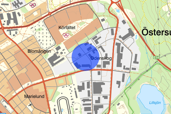 Odenskogsvägen 04 april 13.51, Fylleri/LOB, Östersund
