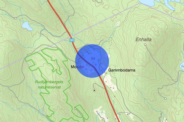 Mosjön 12 maj 06.53, Trafikolycka, vilt, Kramfors