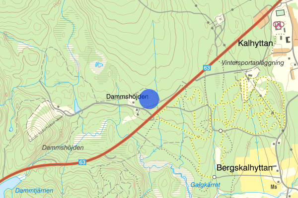 Dammshöjden 12 maj 13.56, Trafikolycka, Filipstad