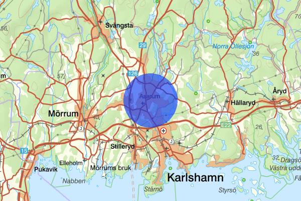 Asarum 29 maj 21.13, Rattfylleri, Karlshamn