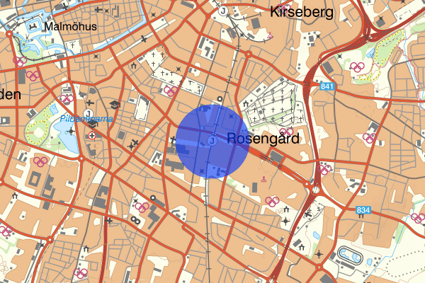 Rosengård 15 juni 00.52, Misshandel, Malmö