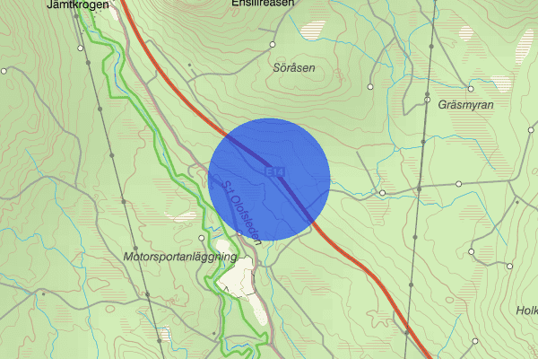 Gamla E14 15 juni 11.13, Trafikolycka, vilt, Ånge