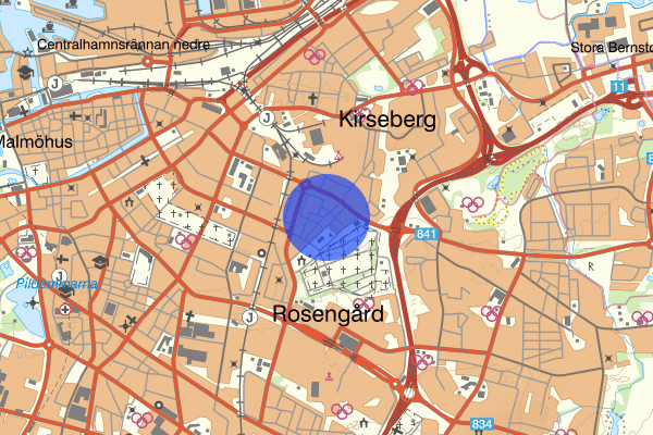 Håkanstorp 19 juni 17.04, Bråk, Malmö