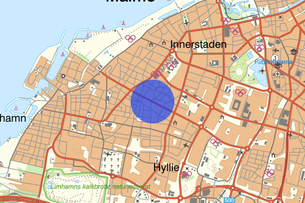 Geijersgatan 23 juni 04.58, Trafikbrott, Malmö