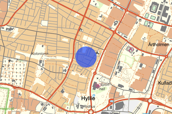 Bågängsvägen 25 juni 00.01, Misshandel, Malmö