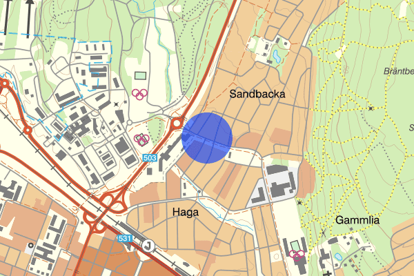 Sandaparken 27 juni 13.39, Trafikkontroll, Umeå
