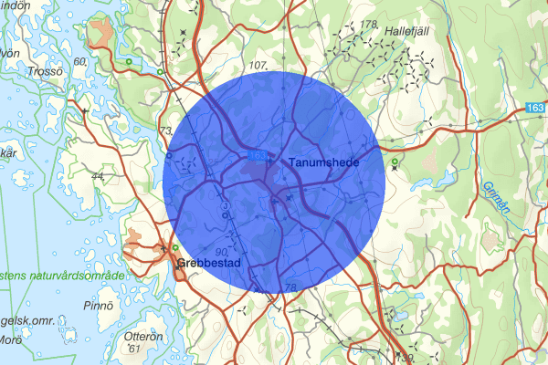 Tanumshede 30 juni 12.58, Trafikolycka, Tanum