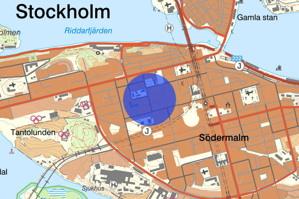 Timmermansgatan 30 juni 18.51, Misshandel, grov, Stockholm