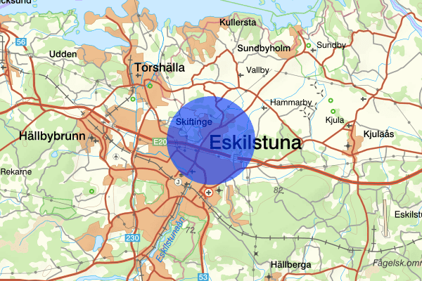 Skiftinge 10 juli 17.52, Misshandel, grov, Eskilstuna