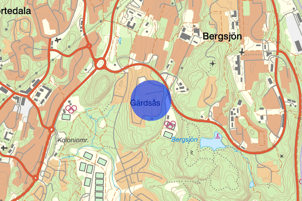 Stora Björn 05 augusti 19.49, Misshandel, grov, Göteborg