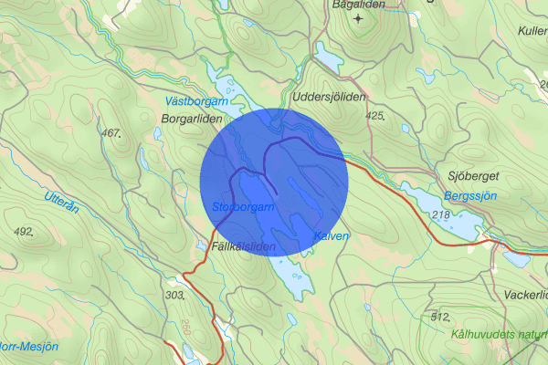 Storborgarn 09 augusti 11.46, Trafikolycka, vilt, Örnsköldsvik