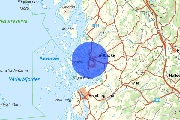 Fjällbacka 28 augusti 12.34, Skadegörelse, Tanum