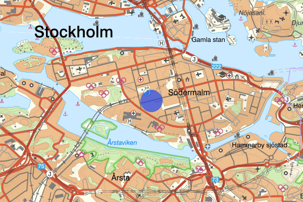 Magnus Ladulåsgatan 01 september 13.52, Motorfordon, stöld, Stockholm