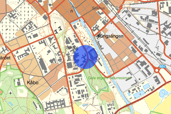 Sjukhusvägen 09 september 22.06, Rån övrigt, Uppsala