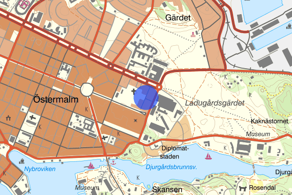 Gyllenstiernsgatan 12 november 11.50, Djur, Stockholm