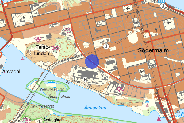 Ringvägen 13 november 02.45, Misshandel, grov, Stockholm