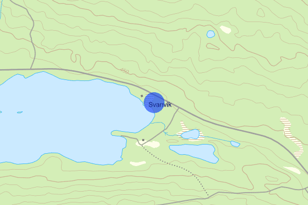 Svanvik 21 november 13.36, Trafikolycka, vilt, Norrbottens län