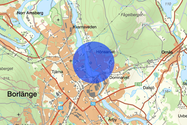 Hönsarvet 05 december 11.19, Mord/dråp, Borlänge