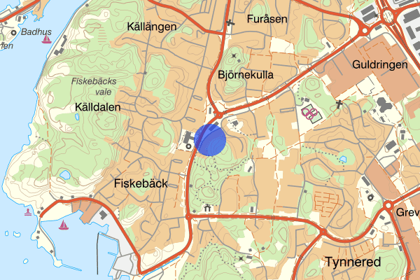 Citrongatan 15 december 17.16, Skadegörelse, Göteborg