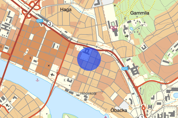 Nytorgsgatan 17 december 14.22, Trafikbrott, Umeå