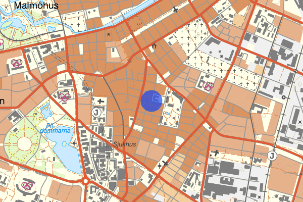 Friisgatan 29 december 02.52, Misshandel, Malmö