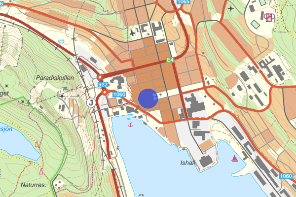 Torggatan 08 januari 13.47, Olovlig körning, Örnsköldsvik