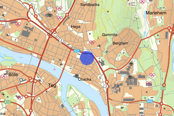 Östra Norrlandsgatan 13 januari 15.04, Ofredande/förargelse, Umeå