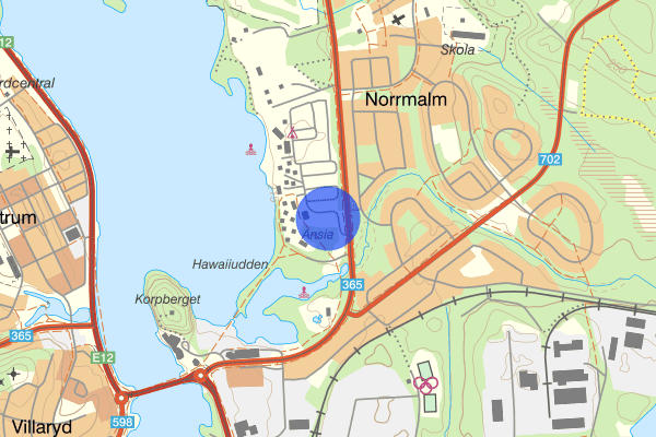 Sommarvägen 16 januari 20.09, Trafikkontroll, Lycksele