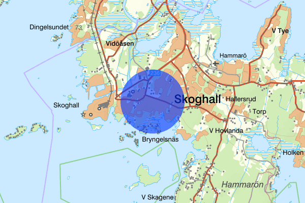 Haga 20 januari 10.35, Försvunnen person, Hammarö