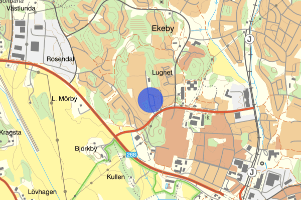 Rosengårdsvägen 22 januari 18.45, Trafikolycka, smitning från, Vallentuna