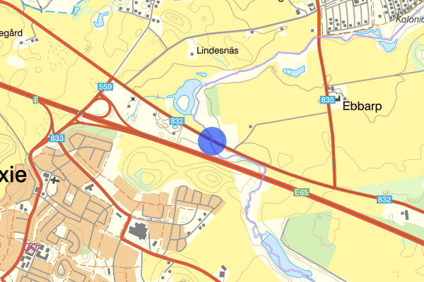 Skabersjövägen 24 januari 20.23, Trafikolycka, vilt, Svedala