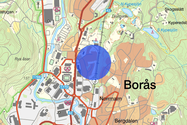 Herrljungagatan 27 januari 11.33, Stöld/inbrott, Borås