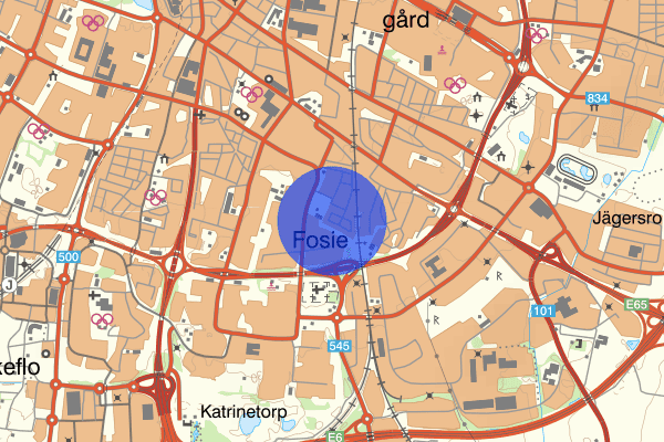 Gullviksborg 29 januari 23.06, Rattfylleri, Malmö