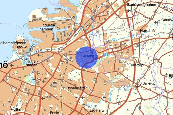 Bulltofta 30 januari 07.44, Försvunnen person, Malmö